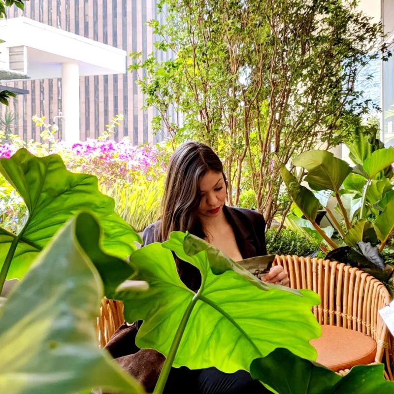 Mulher sentada em uma cadeira de vime rodeada por plantas verdes, lendo um material, em um ambiente iluminado e natural.